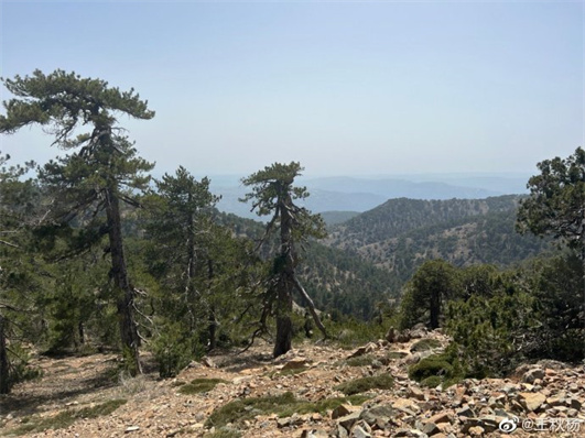 04.jpg