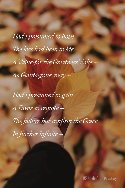 241017-1.png
